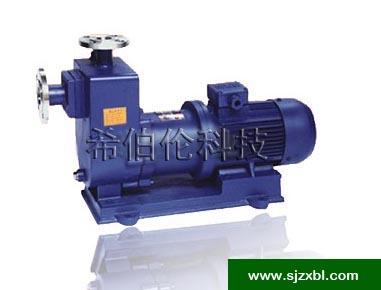 ZCQ型自吸磁力驱动
