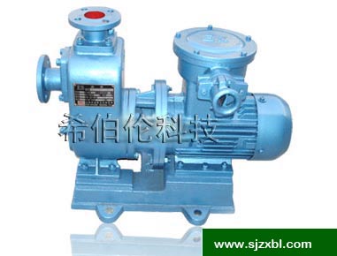 CYZ-A直联式自吸