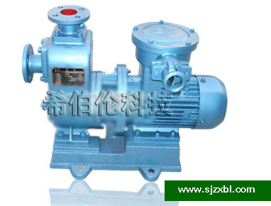 CYZ-A直联式自吸