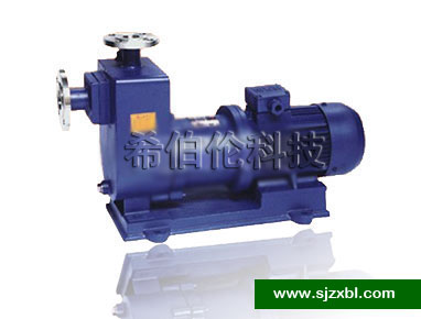 ZCQ型自吸磁力驱动